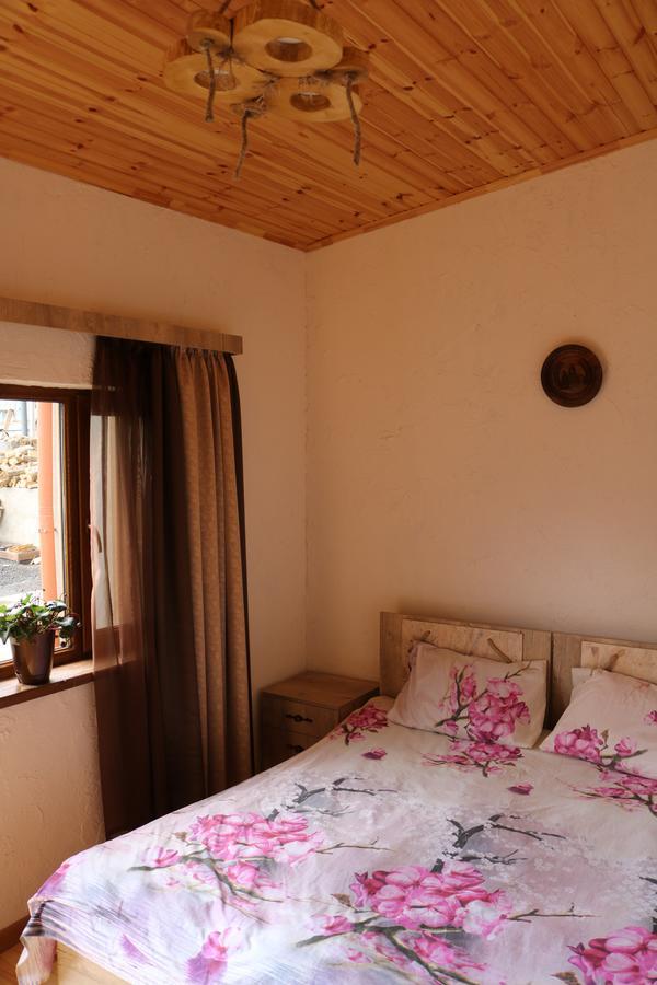 Saro B&B And Safari Tours 타테브 외부 사진