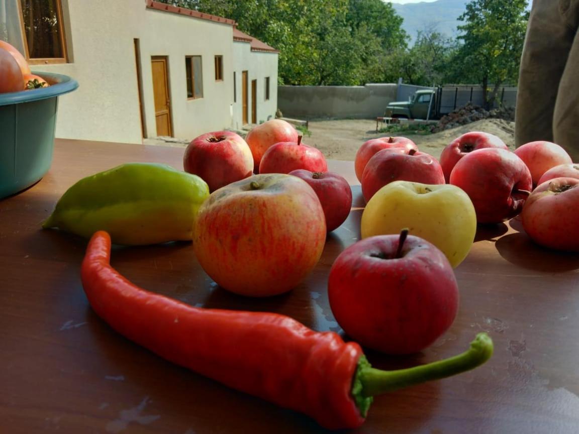 Saro B&B And Safari Tours 타테브 외부 사진